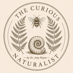 A nature-inspired logo for The Curious Naturalist by Dr. Amy Wyatt. It shows a vintage-style circle design with a bee, plants, flowers, a fossil, mountains and a magnifying glass.