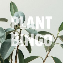 Botanical Bingo @BeardedMonkey ROCKWALL