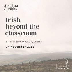 Cúrsa lae Gaeilge i sléibhte Chill Mhantáin | Irish-language day course in the Wicklow Mountains - Intermediate level