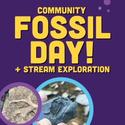 Community Fossil Day + Stream Exploration