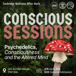 Psychedelics, Consciousness and the Altered Mind