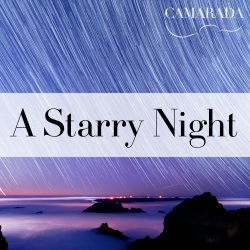 Mingle @ Mingei: A Starry Night
