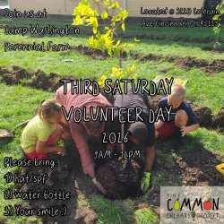 Monthly Volunteer Day