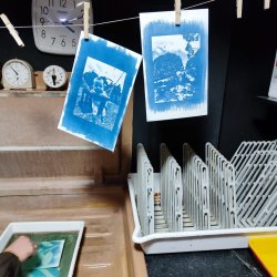 Exploring the Art of Cyanotype Printing - workshop