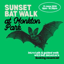 Sunset bat walk at Monkton Park