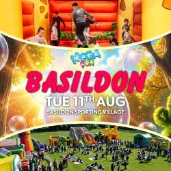 ☀️ Basildon Mega Fun Day - Tues 11th Aug ☀️