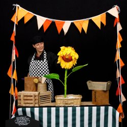 Masterchef Mo and the Missing Cake
