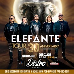 ELEFANTE EN CHICAGO