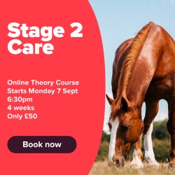 BHS Stage 2 Care Theory Course