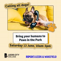 Paws in the Park, RSPCA Dog Show - Animal Care & Land Management Department Tour