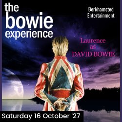 The Bowie Experience
