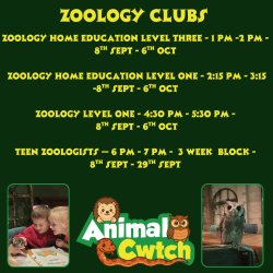 Teen zoologists with Animal Cwtch