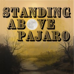 Standing Above Pajaro
