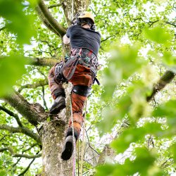 Emergency First Aid + F (EFAW+F) Course - Dartmoor