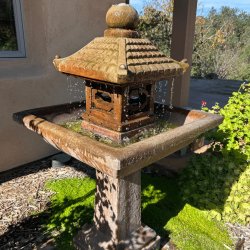 In-Person: Saturday Morning Class
