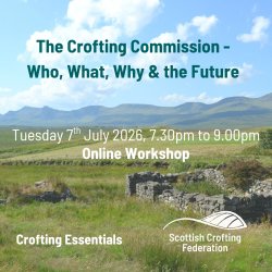 Advertisement for online workshop