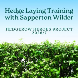 Hedge Laying Training Courses