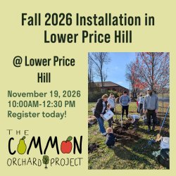 Fall 2026 Orchard Installation In Lower Price Hill