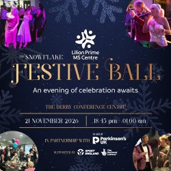 The Snowflake Festival Ball branding