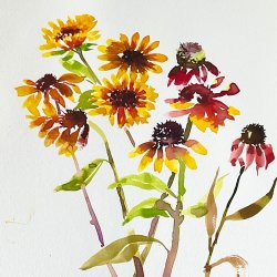 fresh and free watercolour flowers