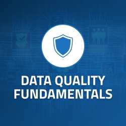 (Virtual) Data Quality Fundamentals for Business Professionals