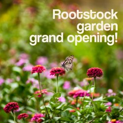 Rootstock Garden GRAND Opening!