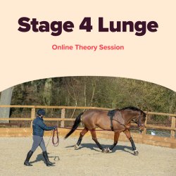 BHS Stage 4 Lunge Theory