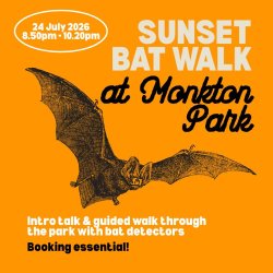 Sunset bat walk at Monkton Park