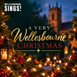 A Very Wellesbourne Christmas