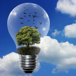 Group Mentor Coaching Drop In*