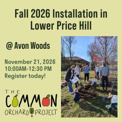 Fall 2026 Orchard Installation In Avon Woods Nature Center