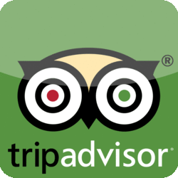 Round-Trip Car Service from Brooklyn to ✈️JFK Airport