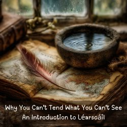 Why You Can't Tend What You Can't See - An Introduction to Léarscáil