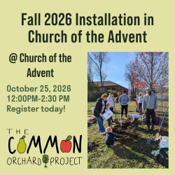 Fall 2026 Orchard Installation In Advent
