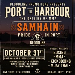 Port to Harbour: Origins Fight Series
