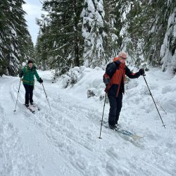 2 people wearing snow jackets and snow pants cross country ski down a snowy hill