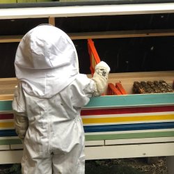 Busy Little Beekeepers - 4 to 8 year olds