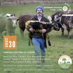 Inside the Gate: Derrymullen Farm, Co. Kildare