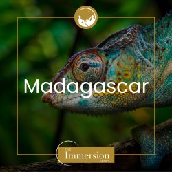 Madagascar: The Immersion Series