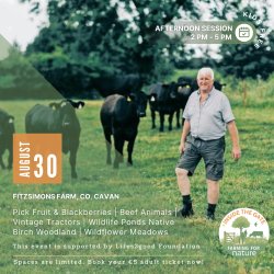Inside the Gate: Fitzsimons Farm, Co. Cavan