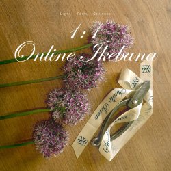 1:1 Online Ikebana Session | Beginner Friendly