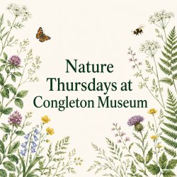 Create a Window into Congleton - Nature Thursdays at Congleton Museum
