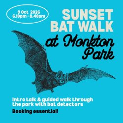 Sunset bat walk at Monkton Park