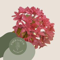 Crepe Paper Hydrangea Workshop