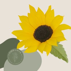 Crepe Paper Sunflower Workshop