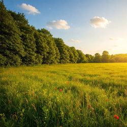 Summer Solstice Retreat at Greenslate Farm
