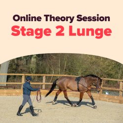 BHS Stage 2 Lunge Theory