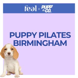 Puppy Yoga
