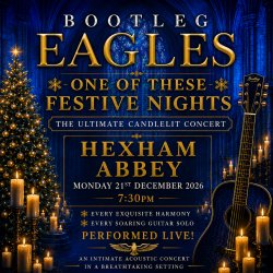 Bootleg Eagles - One Of These Festive Nights