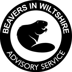 Beavers and the Bybrook